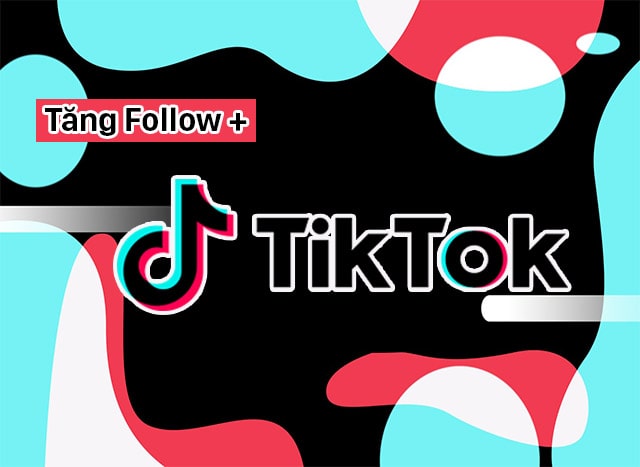 App tăng follow tiktok miễn phí 2022