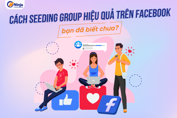 cách seeding group hiệu quả