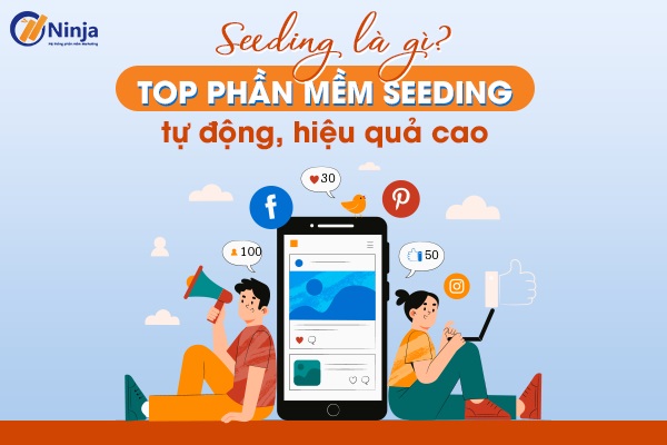 chạy seeding là gì