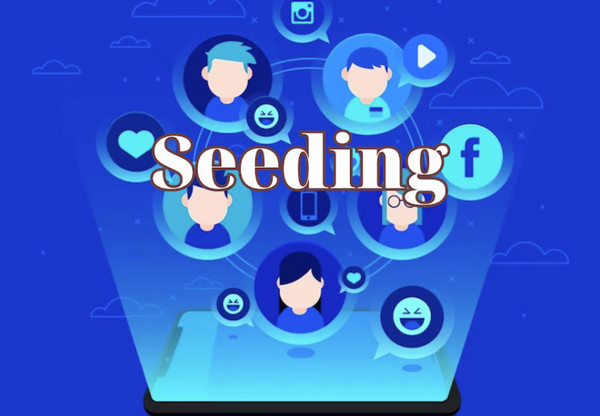 seeding group hiệu quả